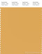PANTONE SMART 14-1041X Color Swatch Card, Golden Apricot