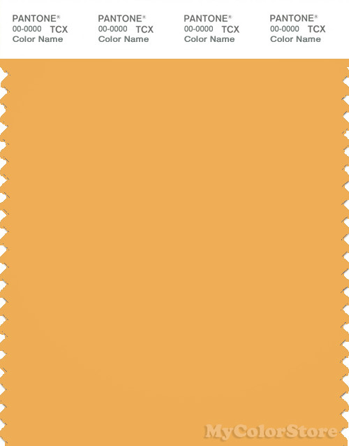 PANTONE SMART 14-1045X Color Swatch Card, Amber