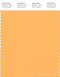 PANTONE SMART 14-1051X Color Swatch Card, Warm Apricot