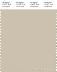 PANTONE SMART 14-1107X Color Swatch Card, Oyster Gray