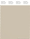 PANTONE SMART 14-1107X Color Swatch Card, Oyster Gray