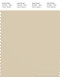 PANTONE SMART 14-1108X Color Swatch Card, Wood Ash