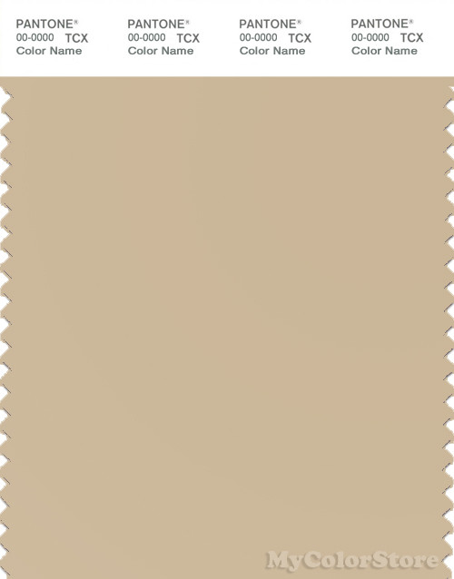 PANTONE SMART 14-1112X Color Swatch Card, Pebble