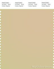 PANTONE SMART 14-1113X Color Swatch Card, Marzipan