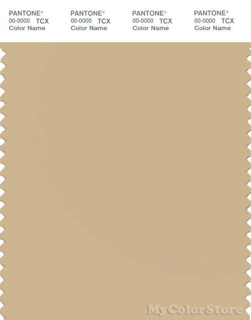 PANTONE SMART 14-1116 TCX Color Swatch Card | Pantone Almond Buff
