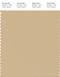 PANTONE SMART 14-1116X Color Swatch Card, Almond Buff