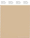 PANTONE SMART 14-1118X Color Swatch Card, Beige