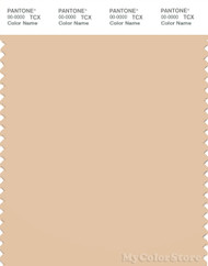 PANTONE SMART 14-1120X Color Swatch Card, Apricot Illusion