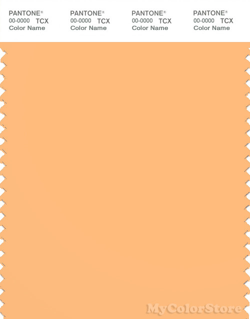 PANTONE SMART 14-1128X Color Swatch Card, Buff Orange