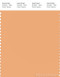 PANTONE SMART 14-1133X Color Swatch Card, Apricot Nectar