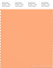 PANTONE SMART 14-1135X Color Swatch Card, Salmon Buff