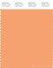 PANTONE SMART 14-1139X Color Swatch Card, Pumpkin