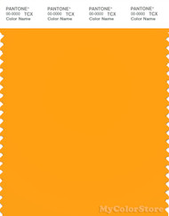 PANTONE SMART 14-1159X Color Swatch Card, Zinnia