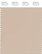 PANTONE SMART 14-1209X Color Swatch Card, Smoke Gray