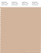 PANTONE SMART 14-1213X Color Swatch Card, Toasted Almond