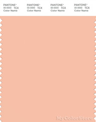 PANTONE SMART 14-1219X Color Swatch Card, Peach Parfait