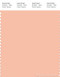PANTONE SMART 14-1219X Color Swatch Card, Peach Parfait