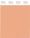 PANTONE SMART 14-1224X Color Swatch Card, Coral Sands