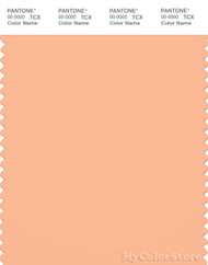 PANTONE SMART 14-1225X Color Swatch Card, Beach Sand