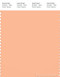 PANTONE SMART 14-1225X Color Swatch Card, Beach Sand
