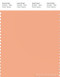 PANTONE SMART 14-1227X Color Swatch Card, Peach