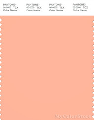 PANTONE SMART 14-1228X Color Swatch Card, Peach Nectar