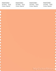 PANTONE SMART 14-1230X Color Swatch Card, Apricot Wash