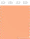 PANTONE SMART 14-1230X Color Swatch Card, Apricot Wash