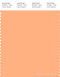 PANTONE SMART 14-1231X Color Swatch Card, Peach Cobbler