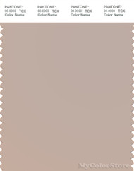 PANTONE SMART 14-1305X Color Swatch Card, Mushroom