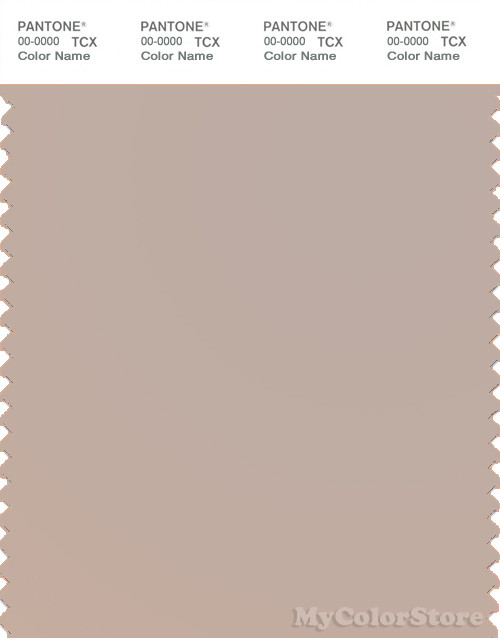 PANTONE SMART 14-1305X Color Swatch Card, Mushroom