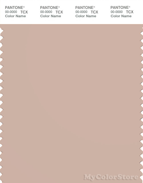 PANTONE SMART 14-1307X Color Swatch Card, Rose Dust