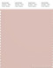 PANTONE SMART 14-1309X Color Swatch Card, Peach Whip