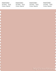 PANTONE SMART 14-1311X Color Swatch Card, Evening Sand