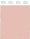 PANTONE SMART 14-1312X Color Swatch Card, Pale Blush