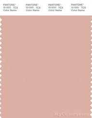 PANTONE SMART 14-1313X Color Swatch Card, Rose Cloud