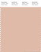 PANTONE SMART 14-1314X Color Swatch Card, Spanish Villa