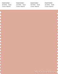 PANTONE SMART 14-1316X Color Swatch Card, Dusty Pink