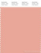 PANTONE SMART 14-1318X Color Swatch Card, Coral Pink