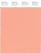 PANTONE SMART 14-1323X Color Swatch Card, Salmon