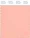 PANTONE SMART 14-1418X Color Swatch Card, Peach Melba