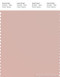 PANTONE SMART 14-1506X Color Swatch Card, Rose Smoke