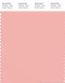 PANTONE SMART 14-1513X Color Swatch Card, Blossom