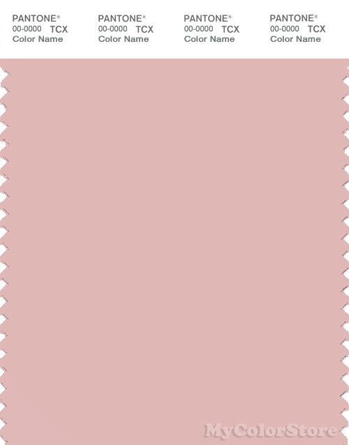 PANTONE SMART 14-1907X Color Swatch Card, Peach Skin