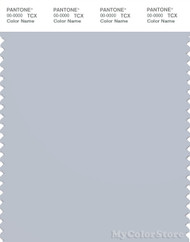 PANTONE SMART 14-4106X Color Swatch Card, Gray Dawn