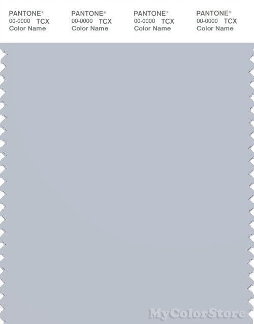 PANTONE SMART 14-4106X Color Swatch Card, Gray Dawn