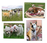Hillside Dog Rescue Greeting/Birthday Cards