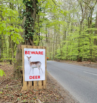 Deer Warning Roadsign...