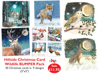 Woodland Friends Bumper pack Christmas Cards