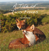 A Tale of Two Foxes - Paul Windridge